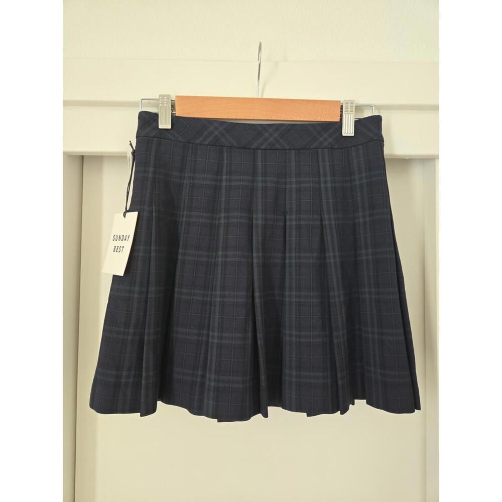 NWT Aritzia Sunday Best Pleated Mini Skirt